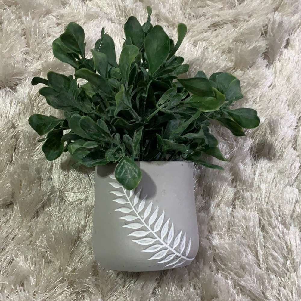 Decorative Plant